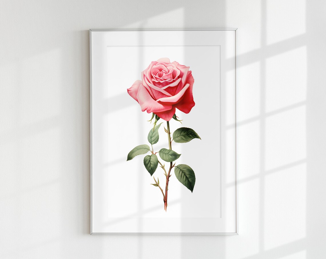 Rose Print Botanical Vintage Poster, Floral Art