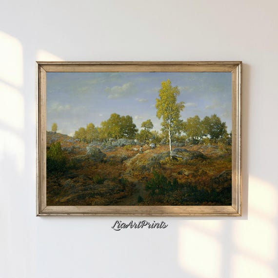 Peaceful Countryside Landscape, Birch Trees And Open Fields Art Print