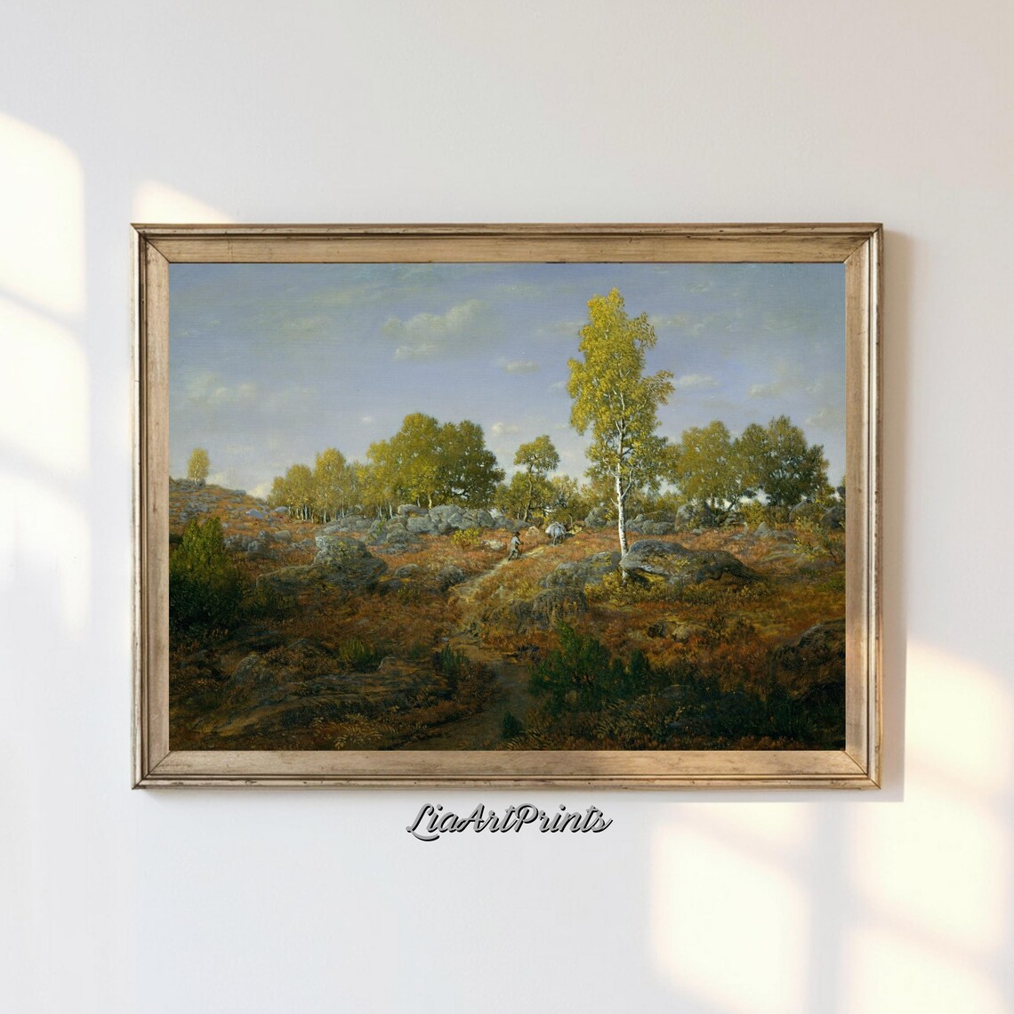 Peaceful Countryside Landscape, Birch Trees And Open Fields Art Print