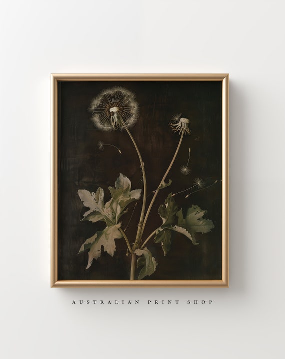 Dandelion Oil Painting Moody Themed Vintage Flower Print Farmhouse Flower Painting Dark Dandelion Print Antique Botanical