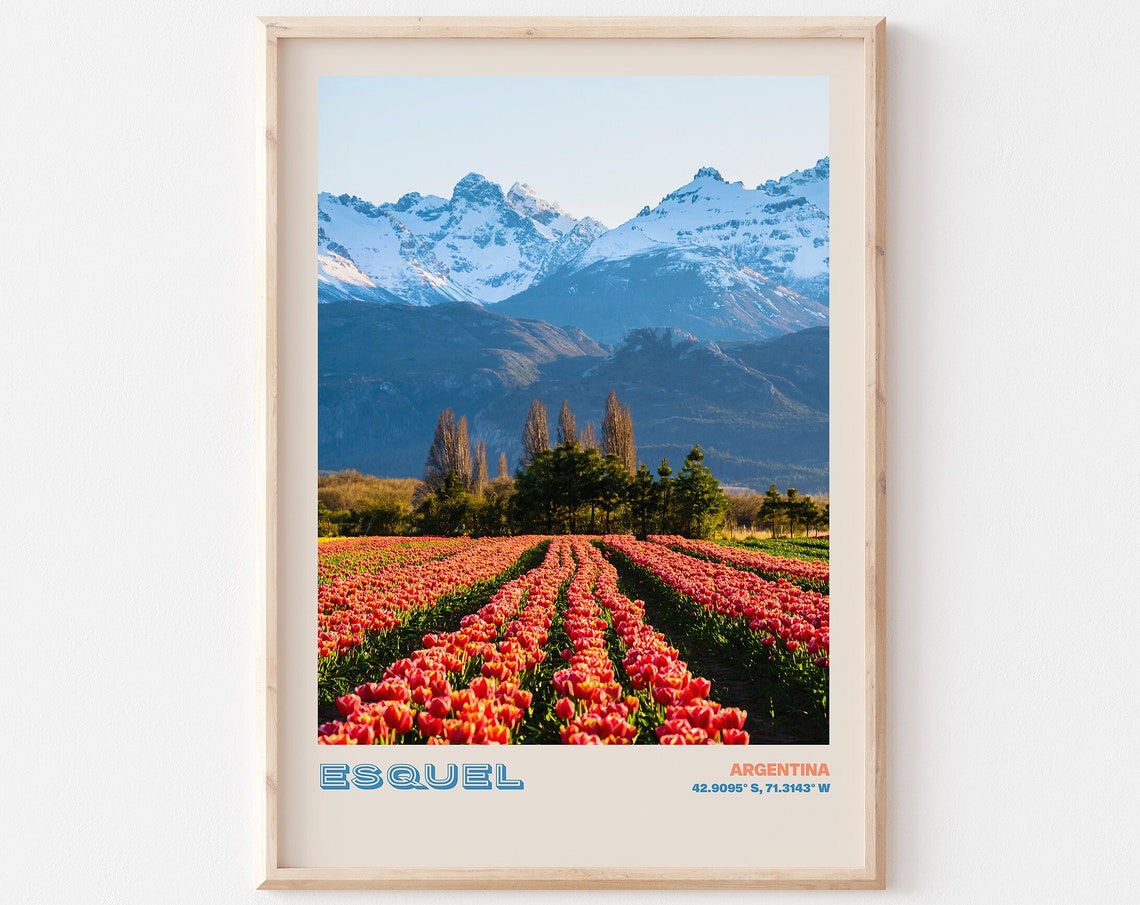 Esquel Argentina Blooming Tulip Fields Snow Mountain View Poster