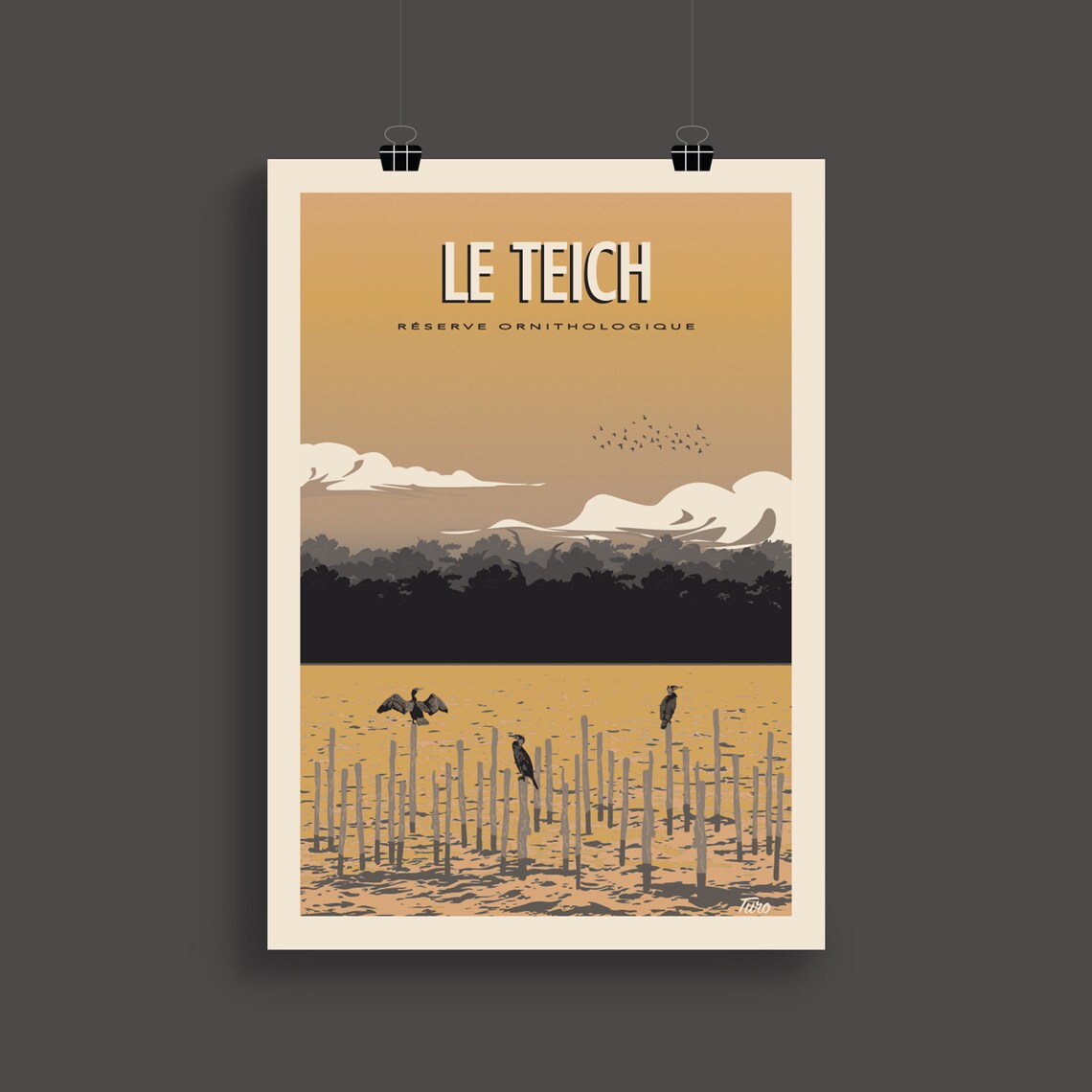 Le Teich Ornithological Reserve Birds France Vintage Travel Poster - Image 2