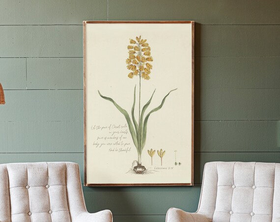 Vintage Botanical Colossians 3 Peace of Christ Art Print