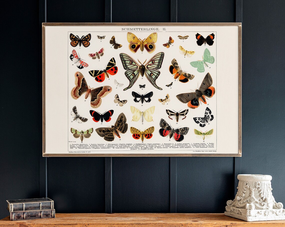 Butterflies Wall Art Print, Living Room Decor