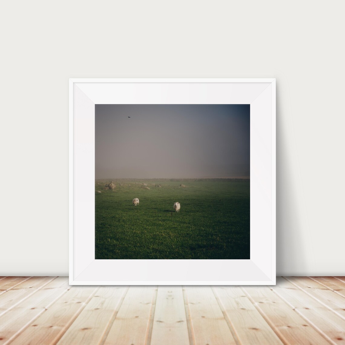 Sheep Grazing in Foggy Green Pasture Minimal Photography Print