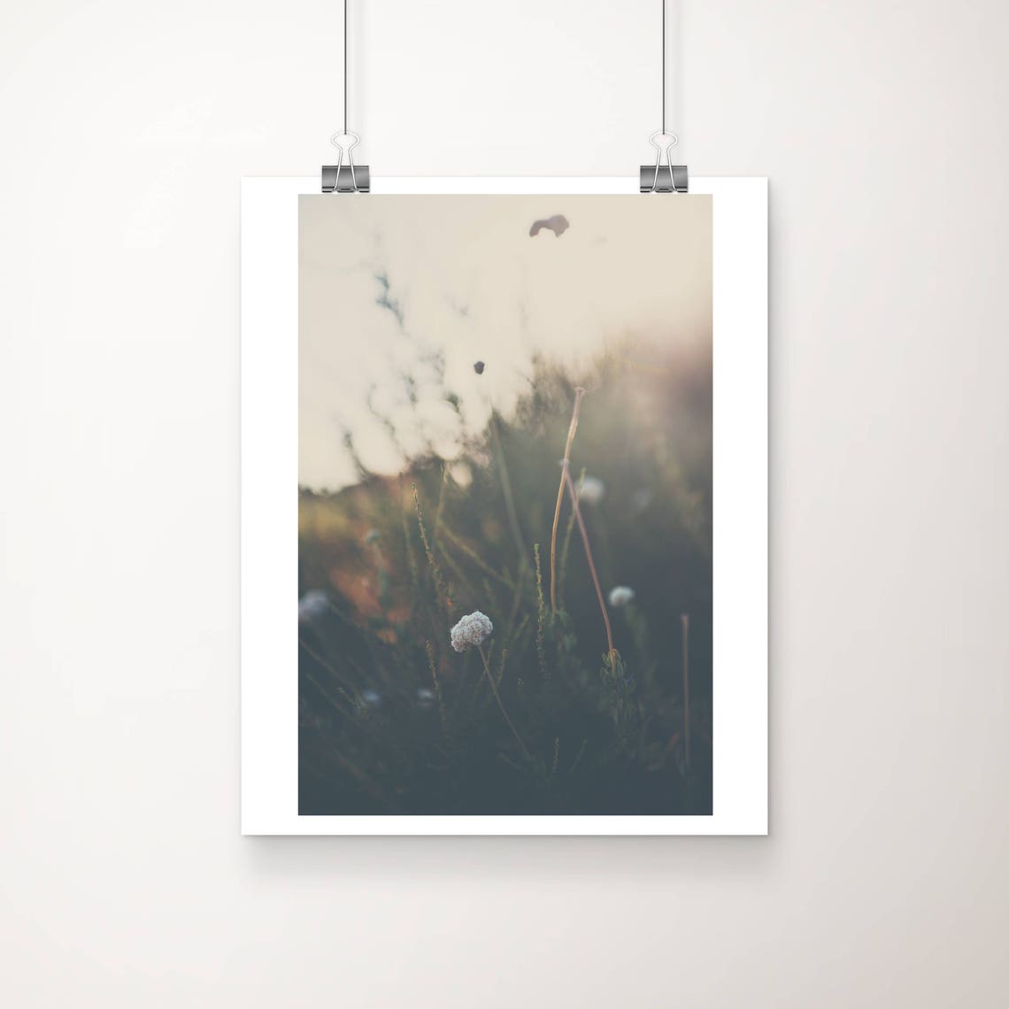 Dreamy Buckwheat Blossom Meadow Golden Macro Nature Photo Poster