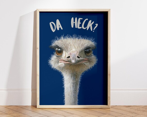 Da Heck Funny Ostrich Dorm Room Decor