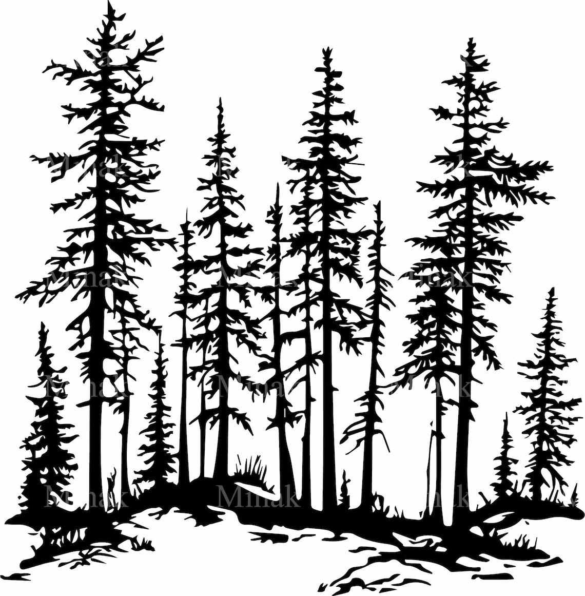 Pine Forest, Detailed Forest Tree Silhouette - Image 4