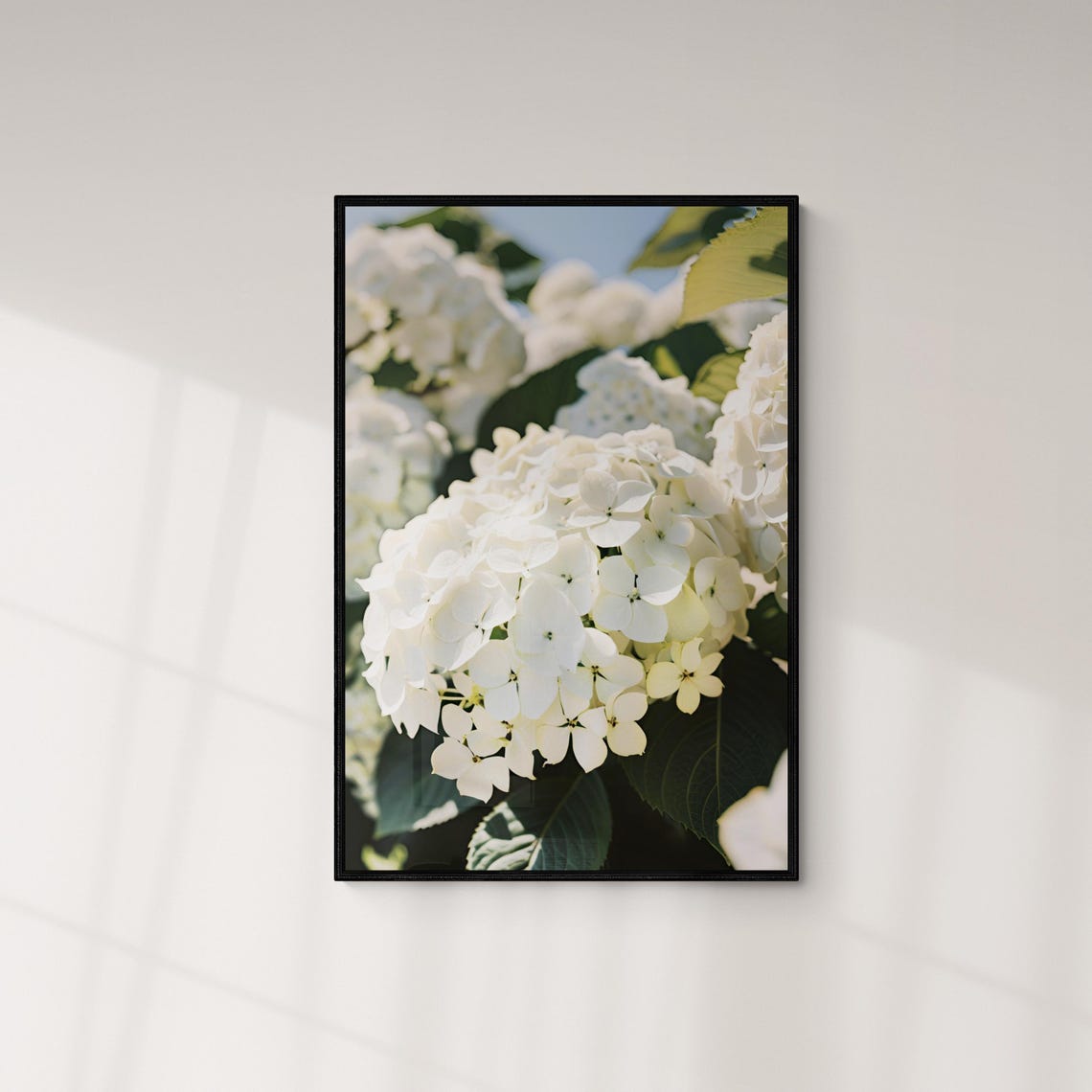 White Hydrangea Blooms Sunny Garden Botanical Photography Art Poster - Image 3