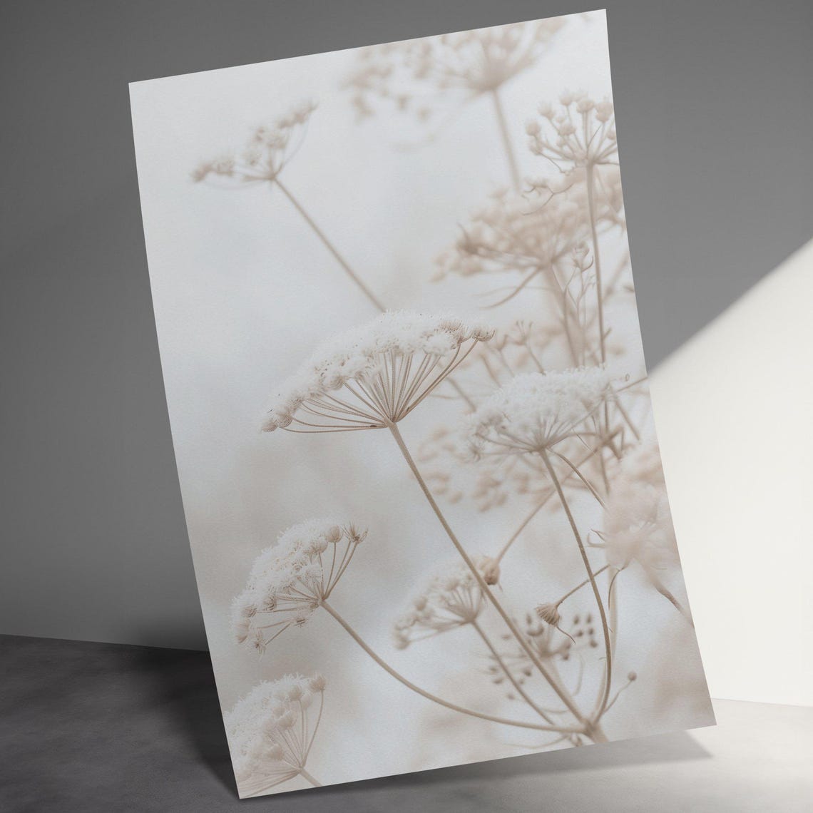 Elegant White Wildflower Minimalist Botanical Photography Art Poster - Image 3