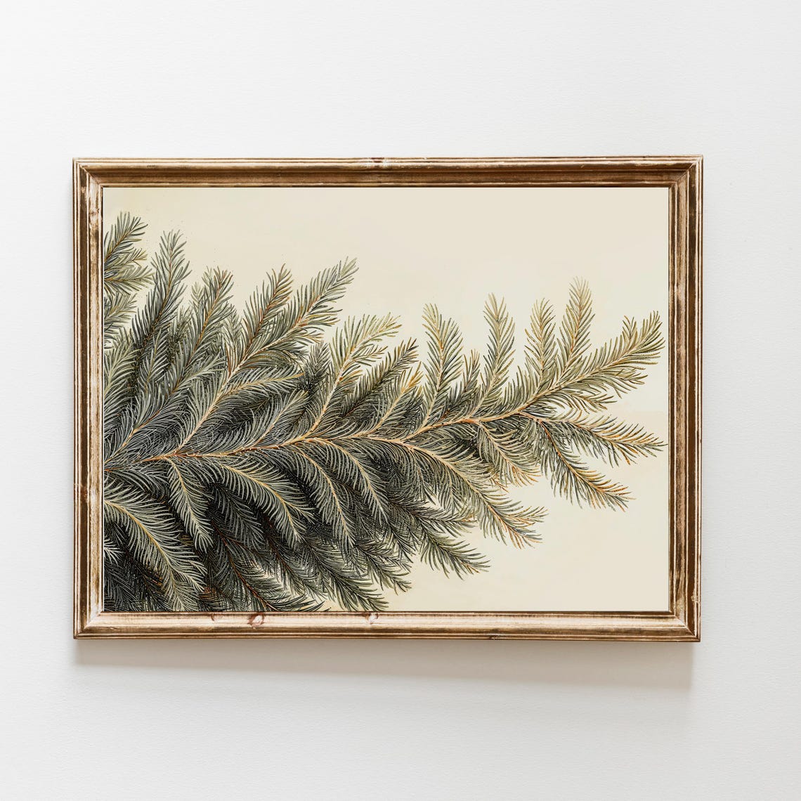 Winter Evergreen Pine Branch Vintage Botanical Holiday Poster