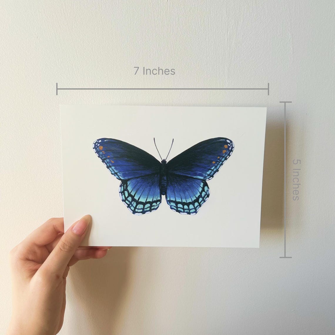 Red Spotted Purple Butterfly Limenitis Arthemis Gouache Art Mini Print 5 X 7 - Image 2