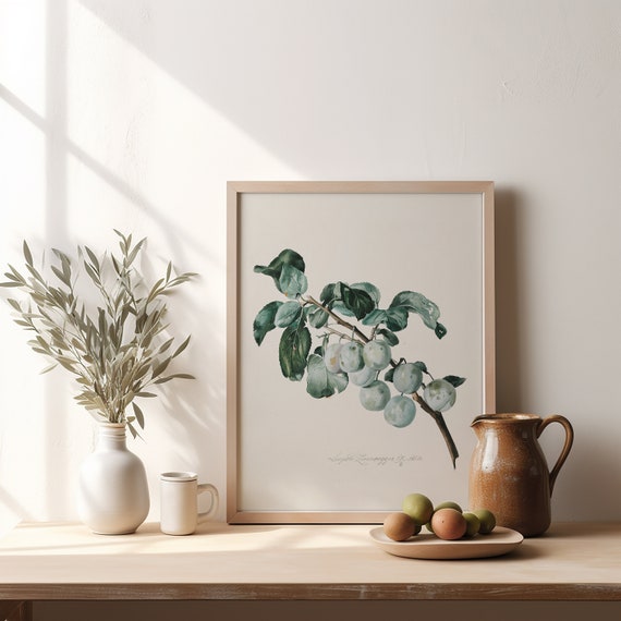 Kitchen Art Print Vintage Art Botanical Grape Wall Decor Green Grape Art Print Farmhouse Kitchen Drawing 541