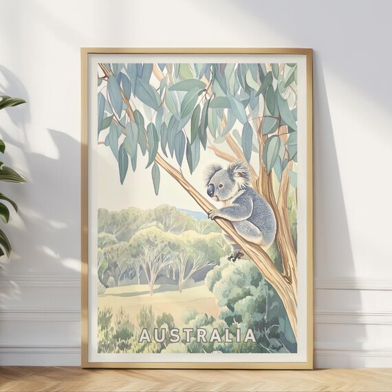 Australia Koala Poster, Eucalyptus Tree Nature Landscape