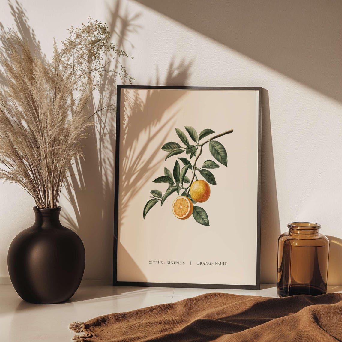 Citrus Sinensis Orange Fruit Branch Botanical Vintage Art Poster
