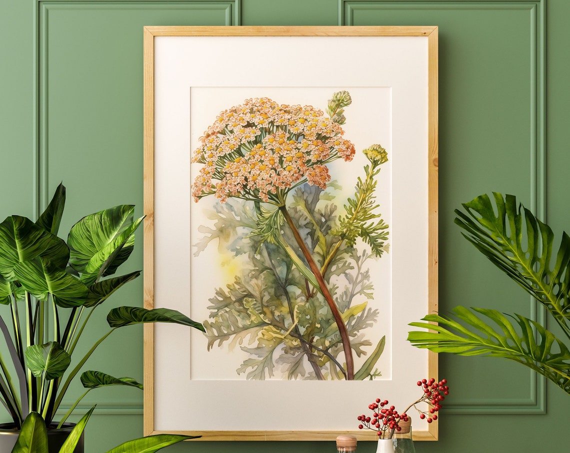 Queen Anne's Lace Watercolor Botanical Wildflower Art Poster