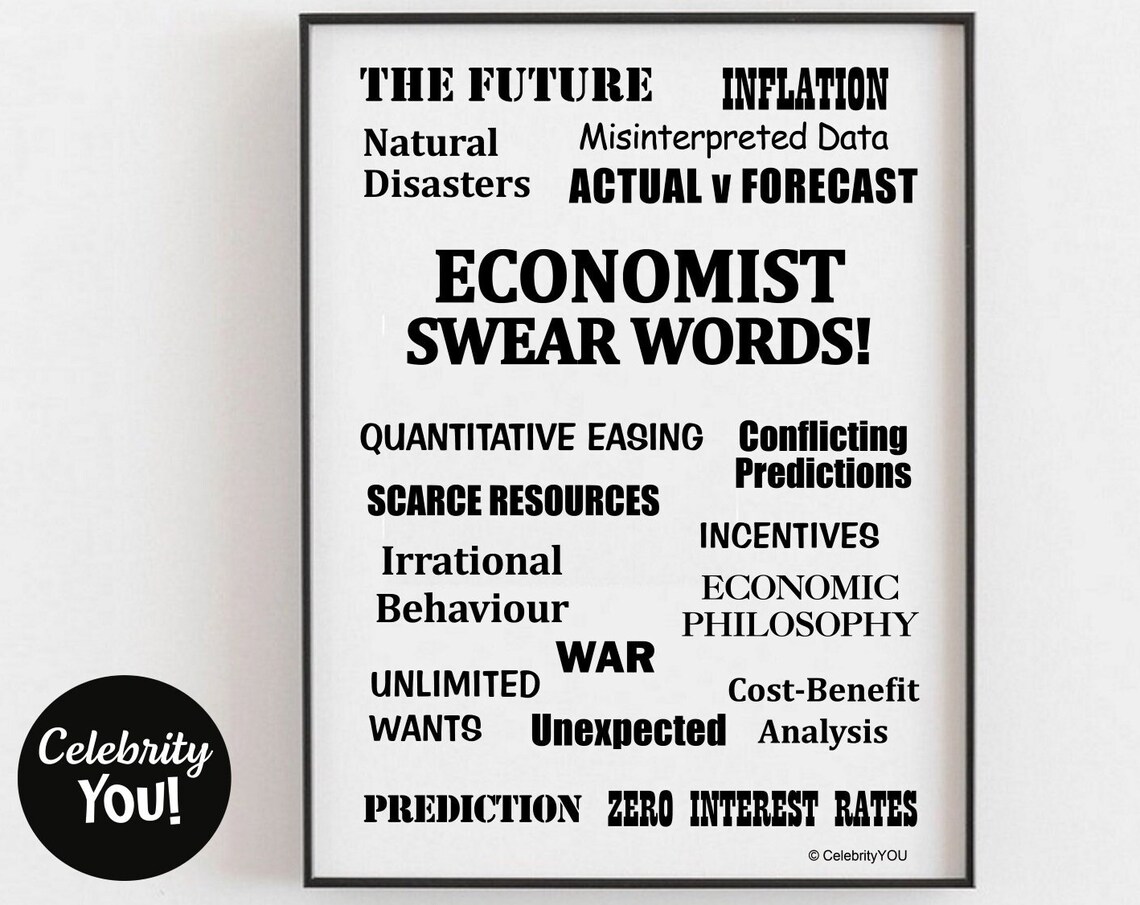 Economist Swear Words Funny Finance Office Humor Poster Gift