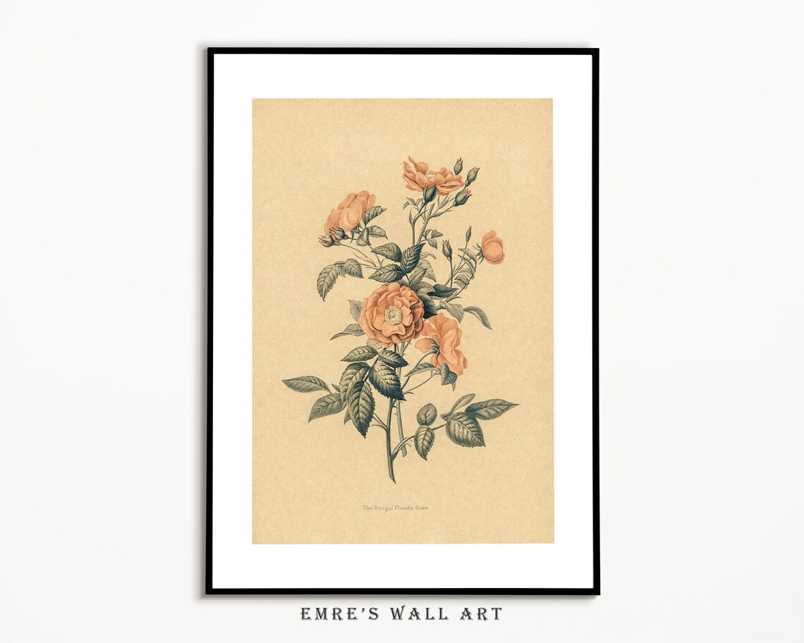 Set of 5 Neutral Vintage Gallery Prints Rustic Landscape Floral Wall Art - Image 3