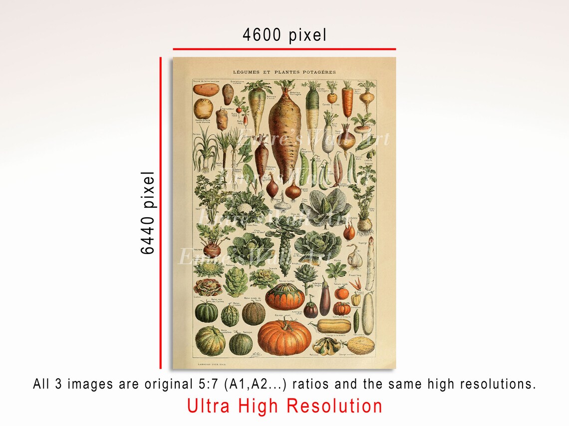 Vintage Fruit And Vegetable Botanical Kitchen Art Print Set - Image 4