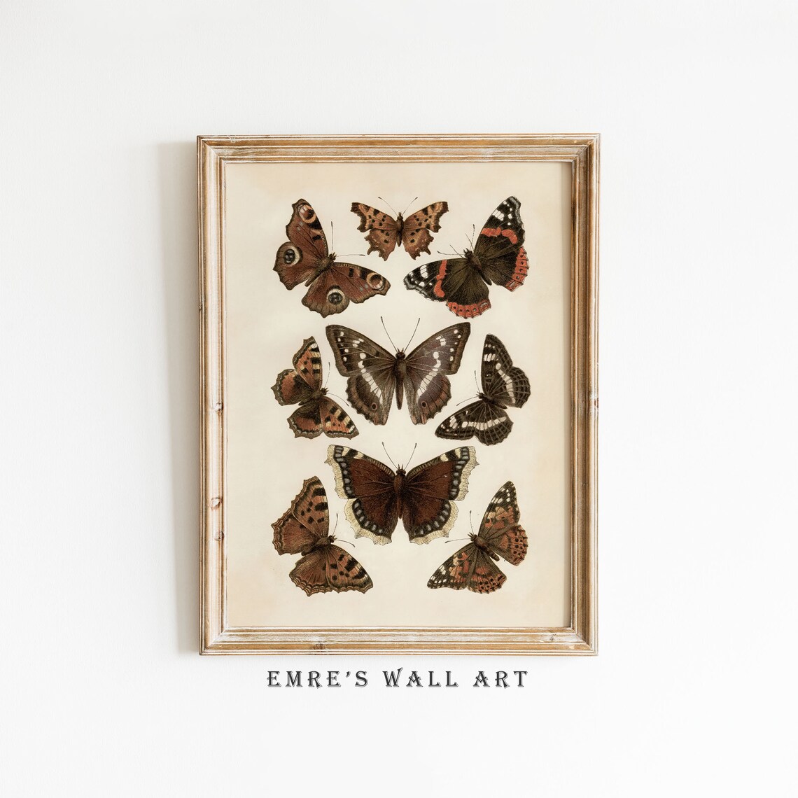 Vintage Butterfly Drawing, Rustic Farmhouse Art Print