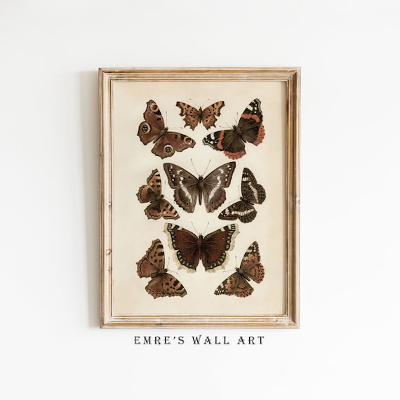 Vintage Butterfly Drawing, Rustic Farmhouse Art Print