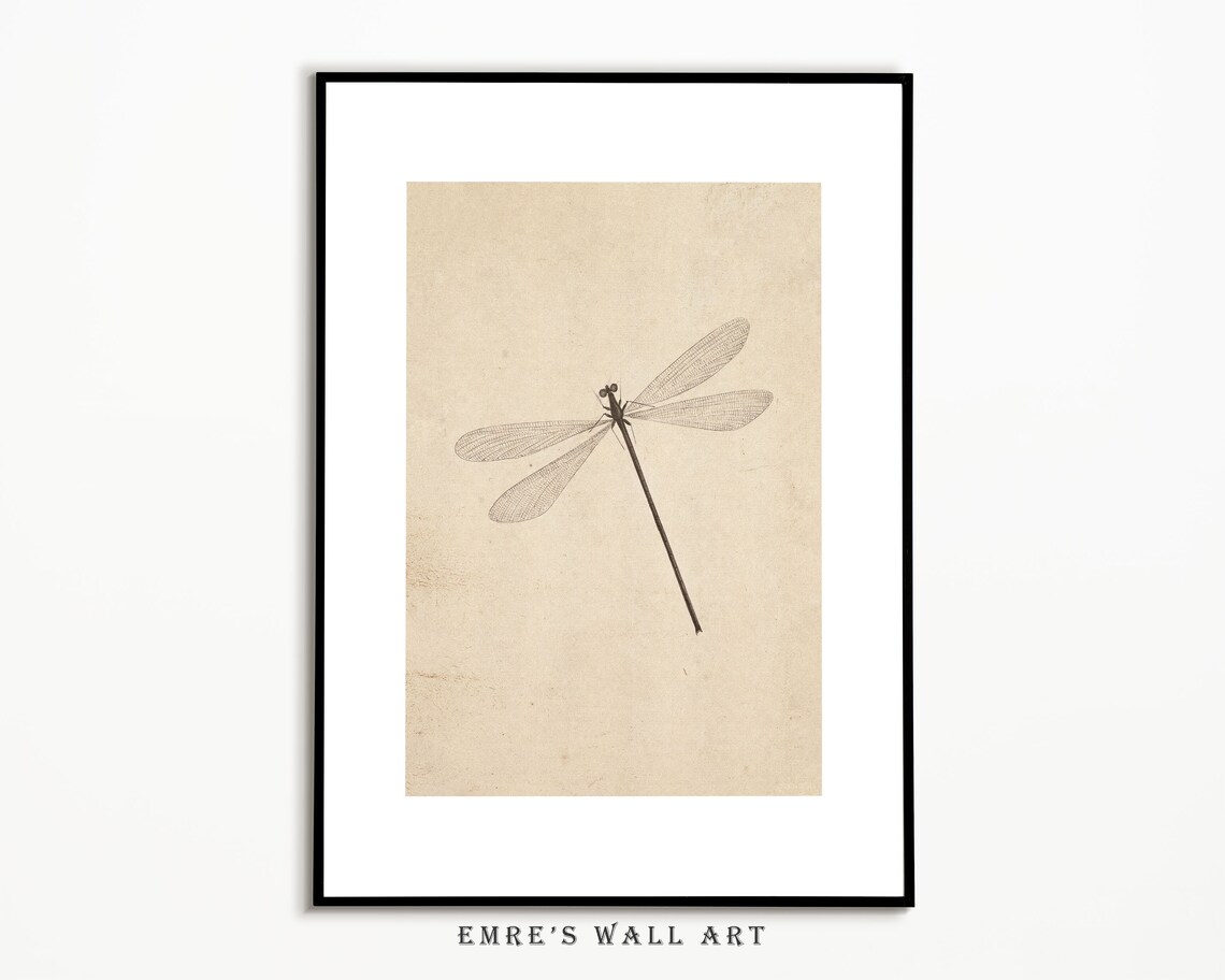 Dragonfly Vintage Sketch Art Print, Antique Sketch - Image 2