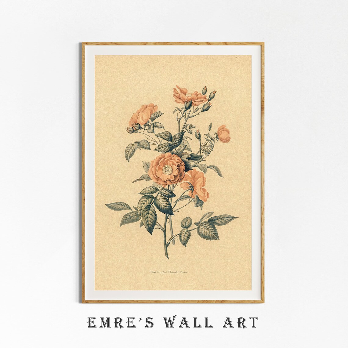 Vintage Botanical Rose Drawing Art Print - Image 4