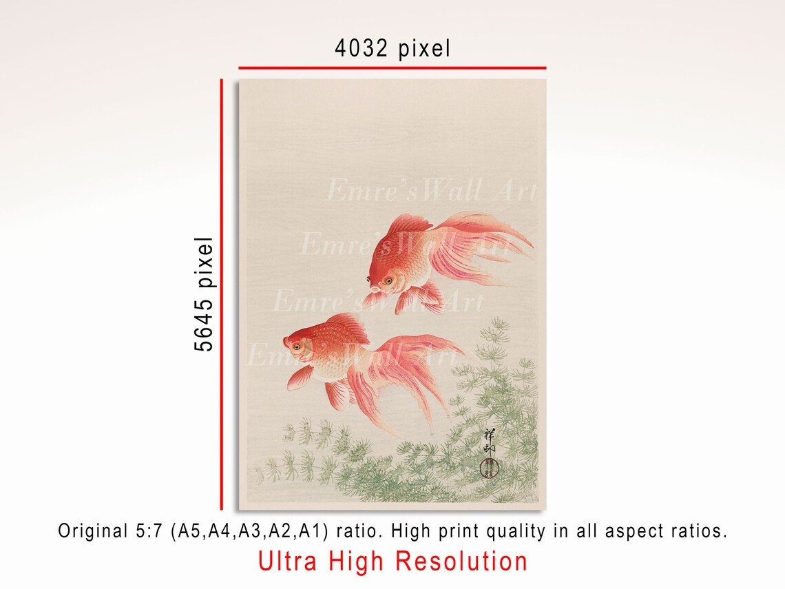 Gold Fish Vintage Sketch Art Print, Sea Life - Image 3