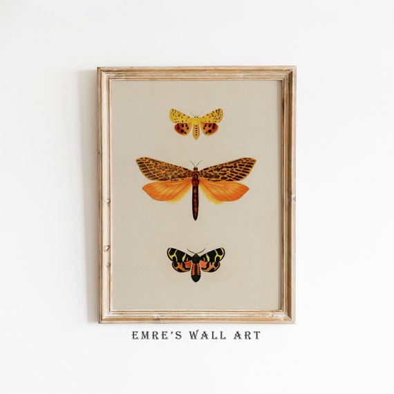 Butterfly Wall Art Vintage Butterfly Print Vintage Eclectic Wall Decor Antique Butterfly Drawing Vintage Boho Wall Art