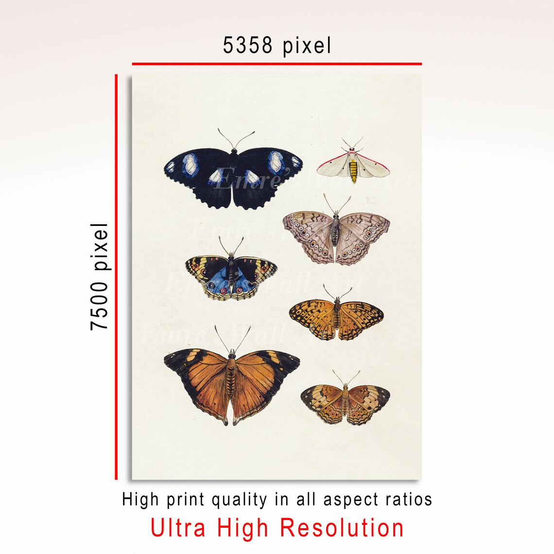 Vintage Butterfly Poster, Butterfly Drawing Art Print - Image 3