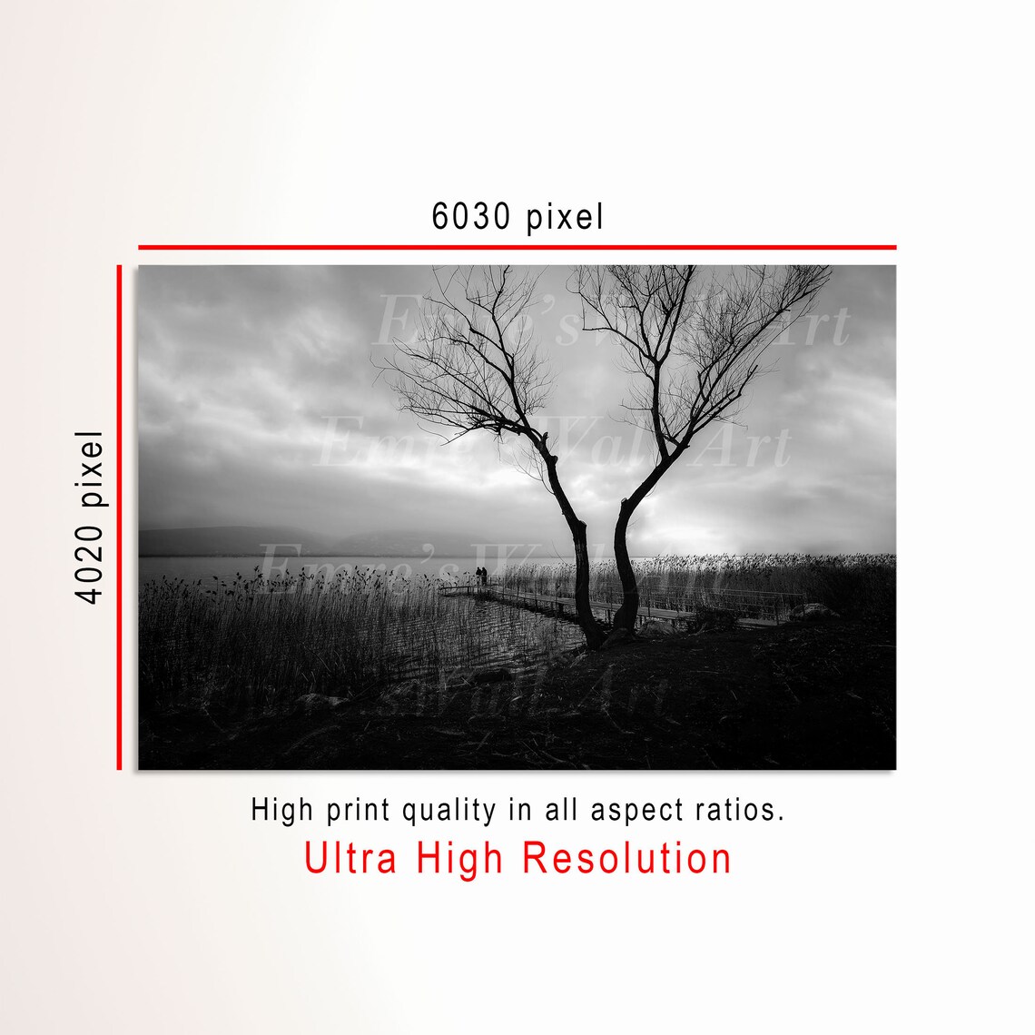 Black And White Landscape Photo, Rustic Lake Decor - Image 3