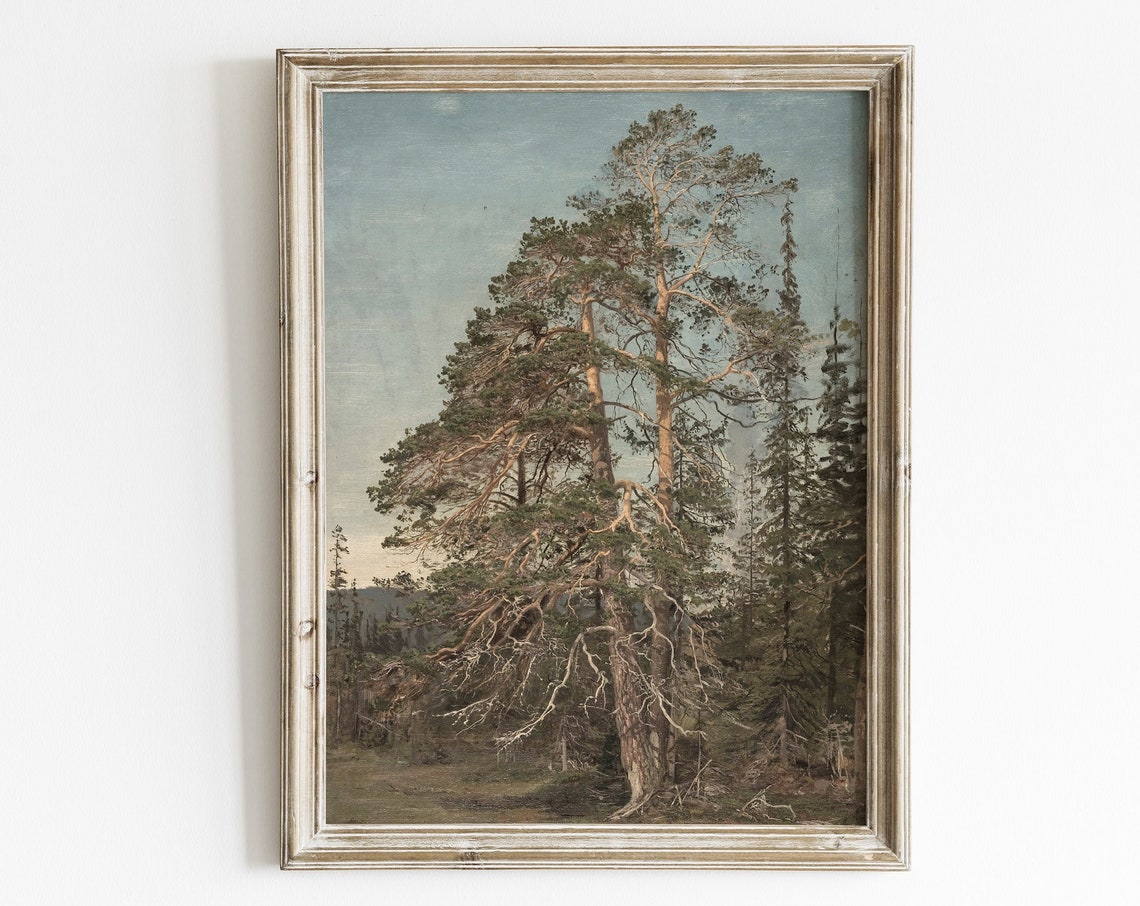 Vintage Forest Landscape, Pine Tree Art Print