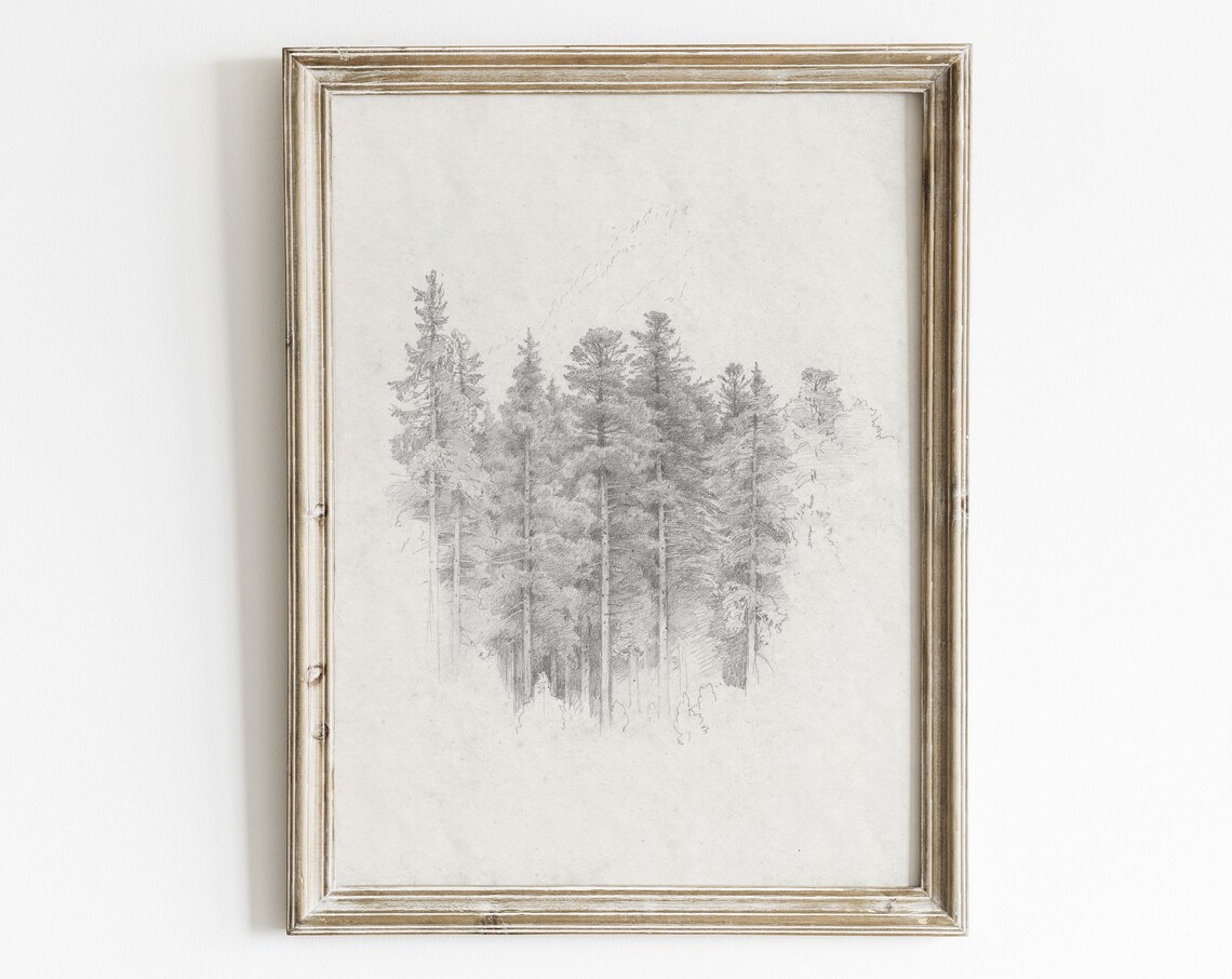 Vintage Pine Tree Forest Sketch, Rustic Winter Art Print