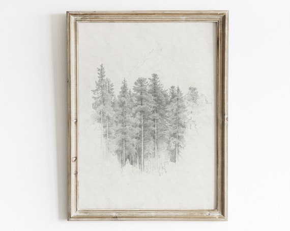 Vintage Pine Tree Forest Sketch, Rustic Winter Art Print