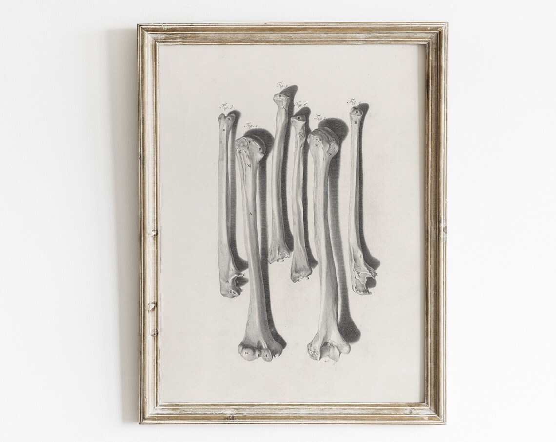 Macabre Vintage Halloween Skeleton Art Print