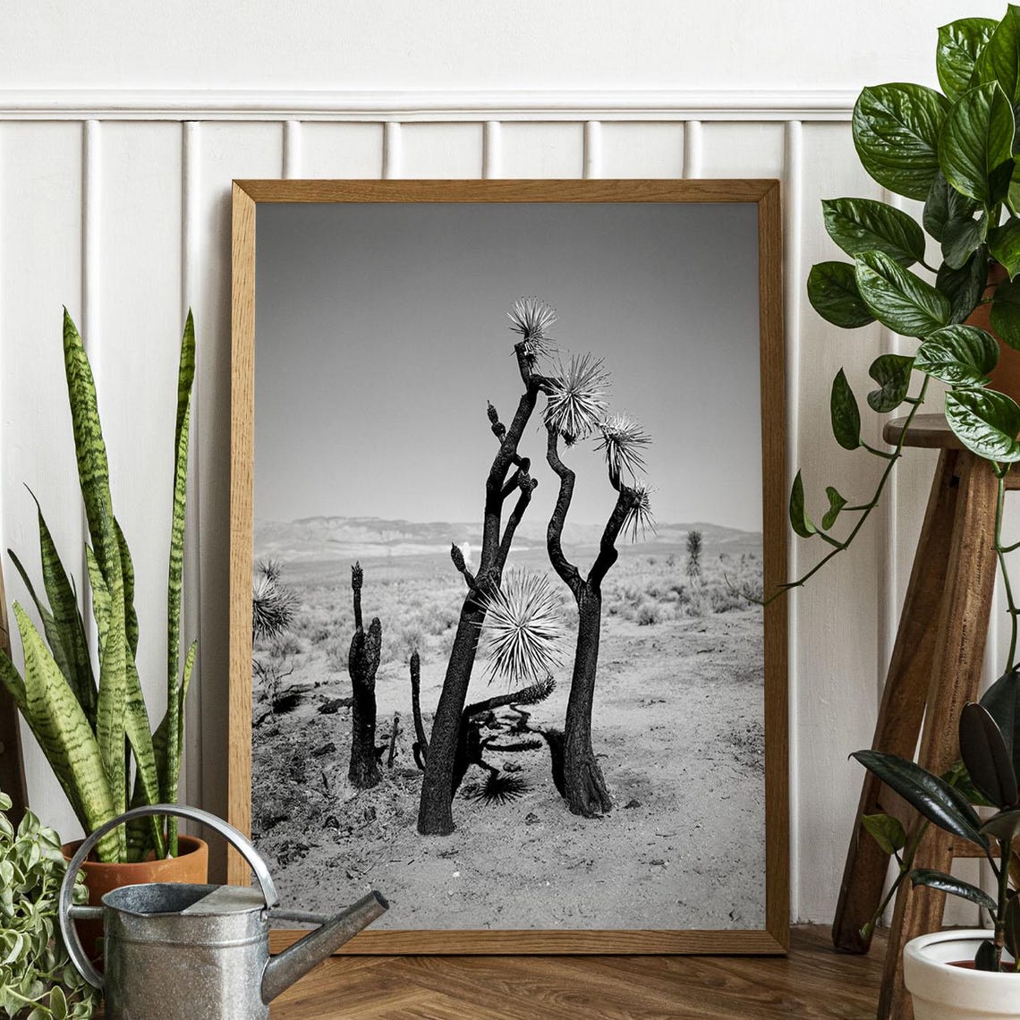Dramatic Black and White Joshua Trees Desert Landscape Photo Poster