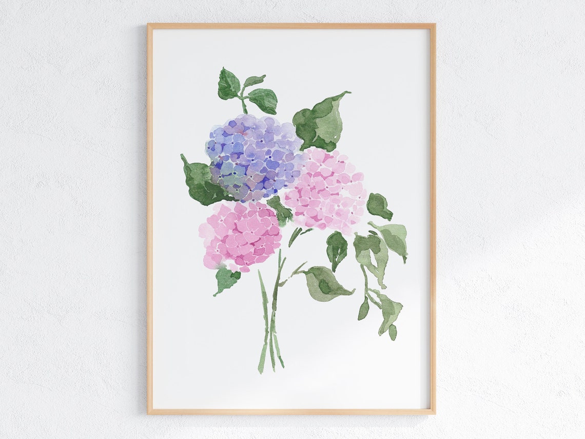 Pink And Blue Hydrangea Watercolor Floral Botanical Art Print