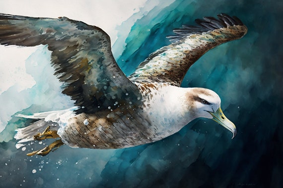 Albatross Watercolor Animal Prints Instant Art For Farmhouse Or Rustic Decor Wide Range Of Animals And Sizes