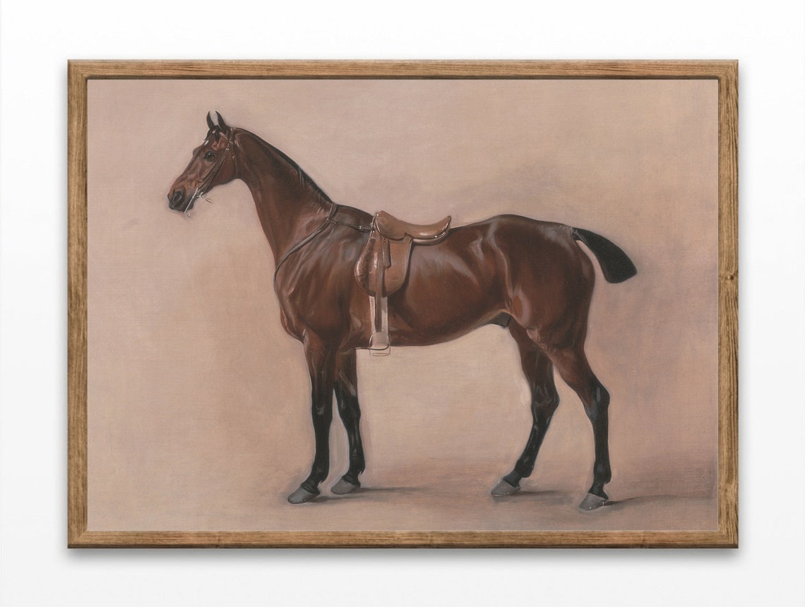 Saddled Bay Horse Studio Portrait Vintage Equestrian Art Poster
