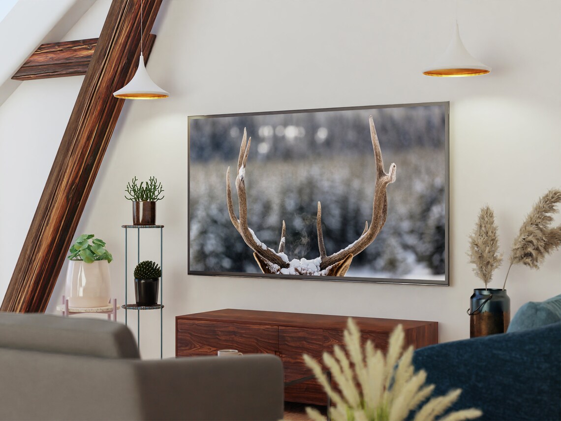 Snow Covered Elk Antlers Close Up Frosty Winter Wildlife Detail Poster - Image 2