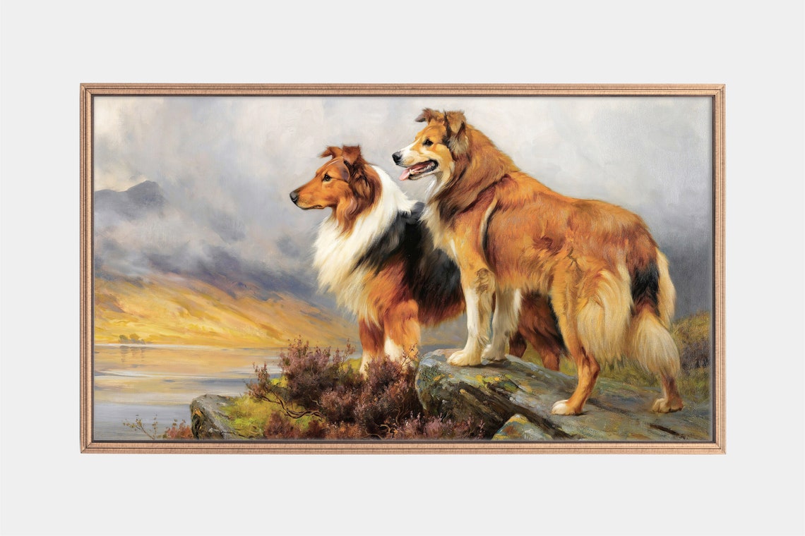 Two Collies Standing on Rocky Overlook at Sunset Vintage Dog Poster