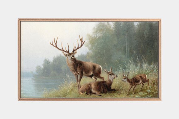 Red Deer Stag Doe And Fawn By Misty Lake Vintage Wildlife Art Poster