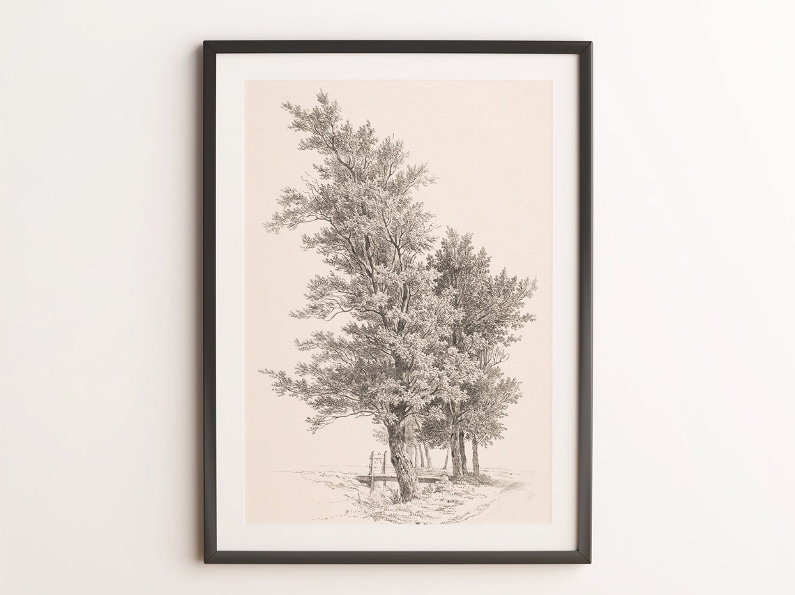 Sketches Of Trees Vintage Tree Drawings Rustic Home Decor Prints Wall Art - Image 4