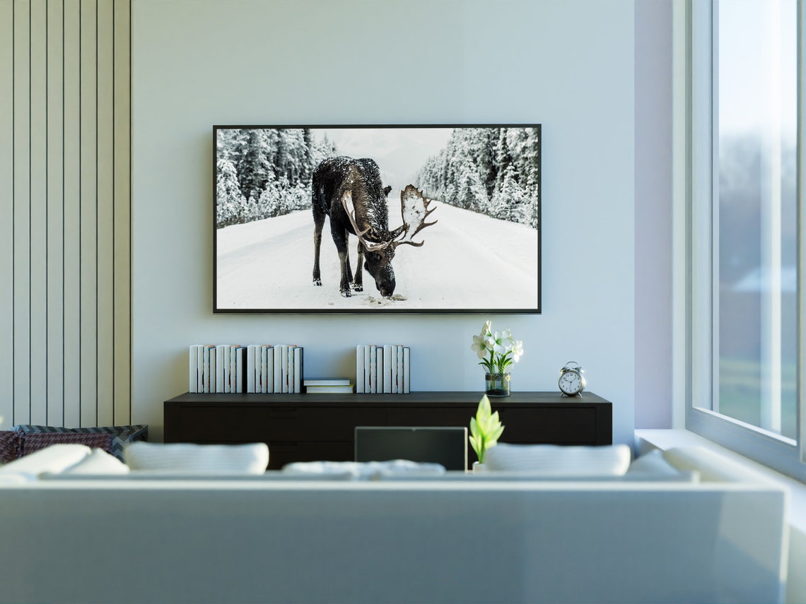 Winter Moose Walking Snowy Road Pine Forest Wildlife Photo Art Print - Image 3