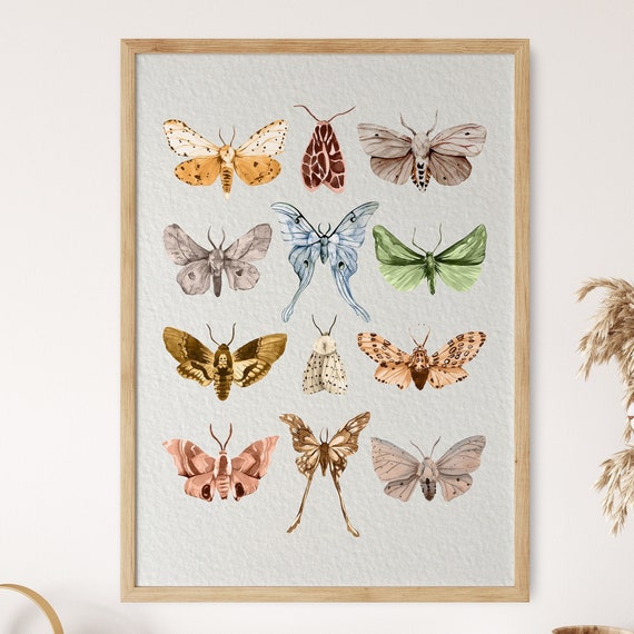 Butterflies Wall Art Boho Watercolor Butterfly Poster Modern Colorful Print Minimalist Rustic Artwork Bohemian Wall Decor Gift