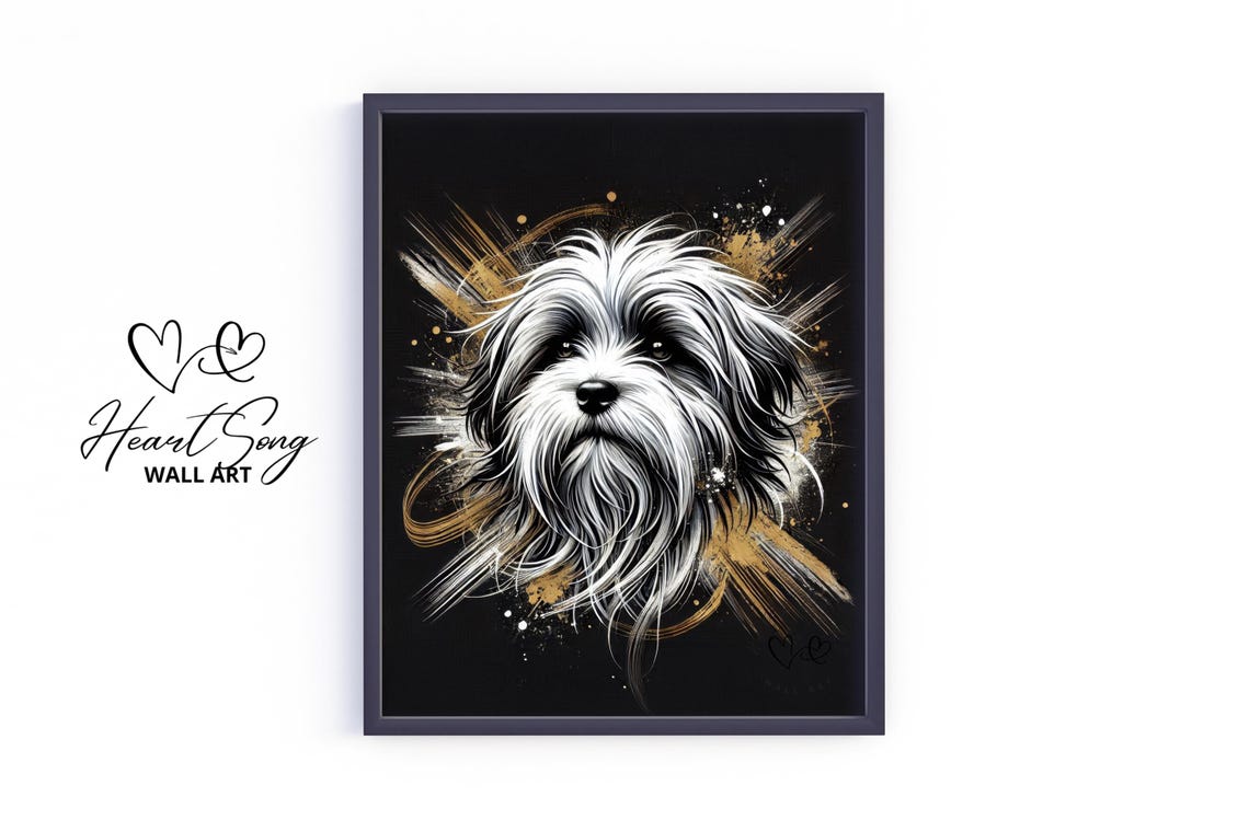 Havanese Fluffy Dog Portrait In Black And Gold Splatter Poster