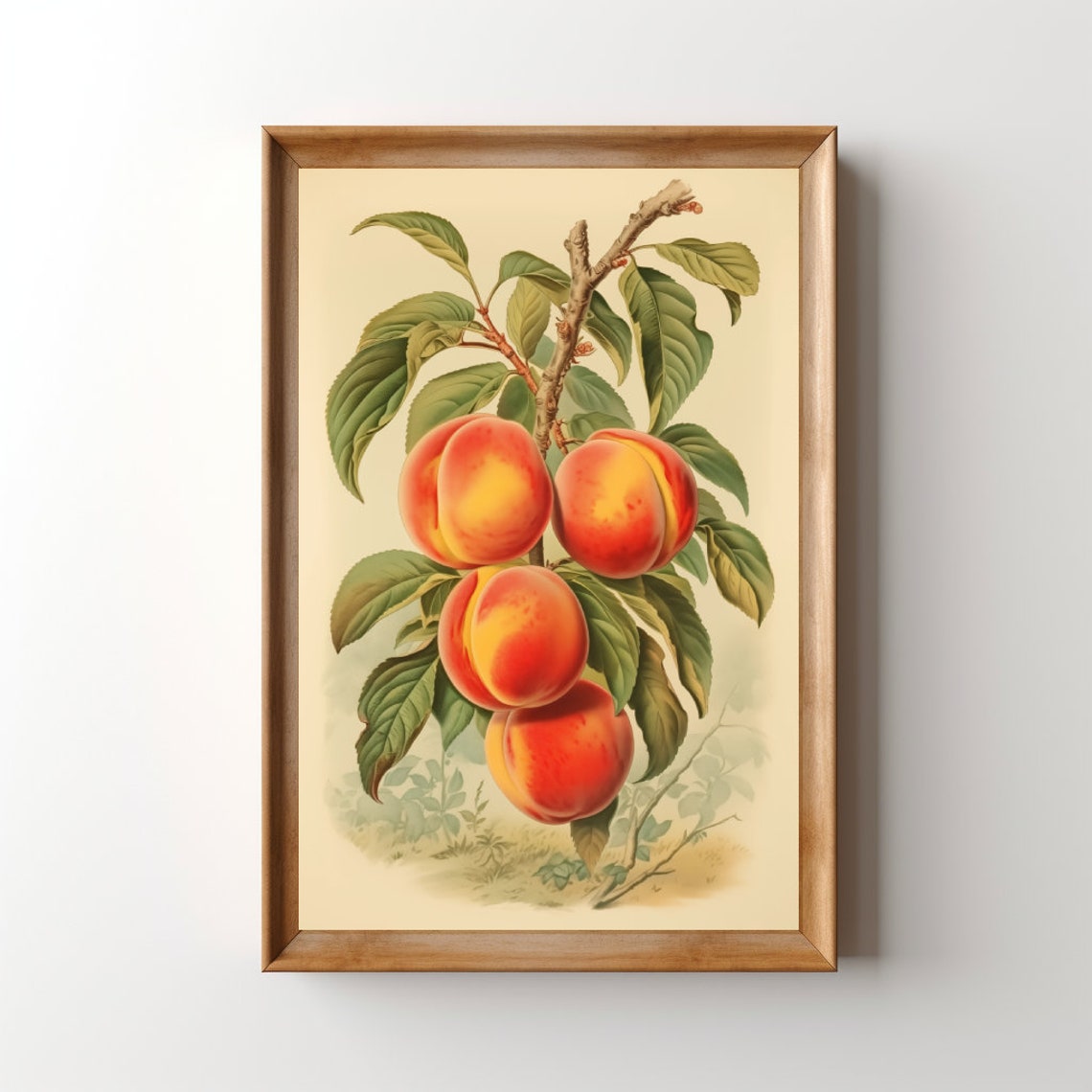 Vintage Peaches Lithograph, Retro Kitchen Art Print