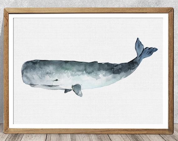 Watercolor Sperm Whale Art Print, Nursery Decor