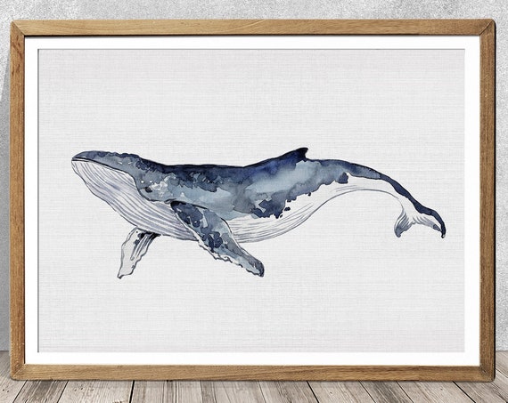 Humpback Whale Watercolor Art Print, Nursery Decor