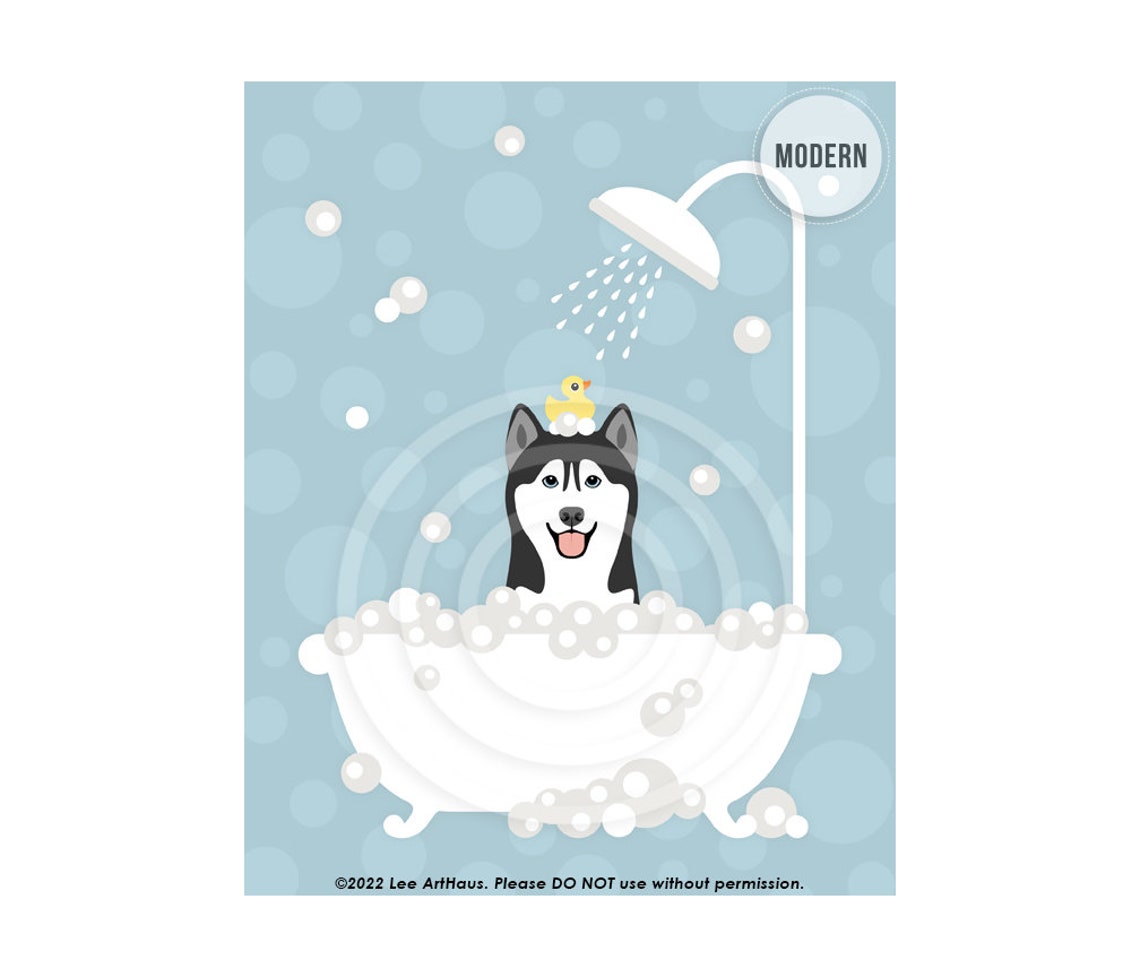Siberian Husky In Shower Bathtub With Rubber Duck Funny Dog Poster